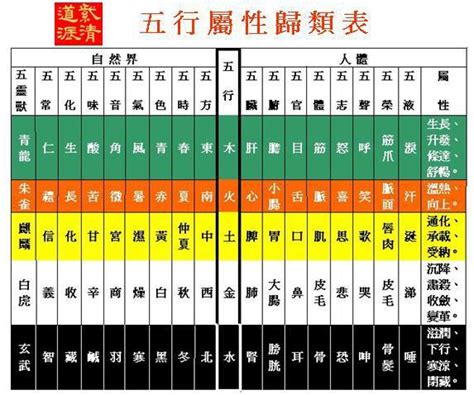 五行盤|快速瞭解你的五行屬性